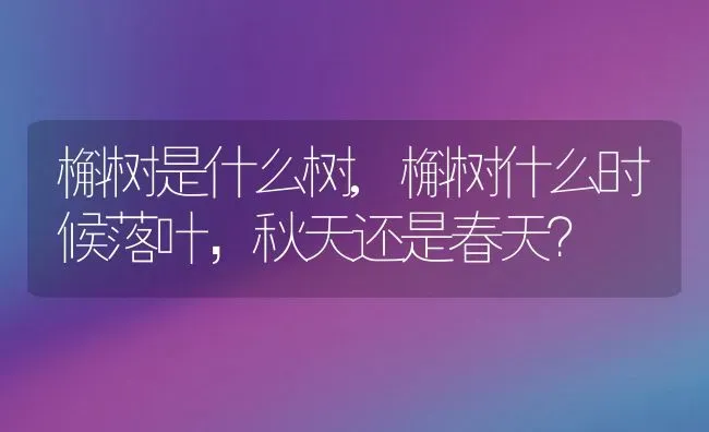 槲树是什么树,槲树什么时候落叶，秋天还是春天？ | 养殖科普