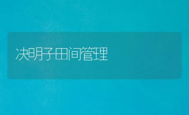 决明子田间管理 | 养殖知识