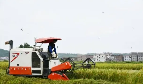 当前农机培训工作存在的问题以及搞好农机工作的措施 | 常识大全