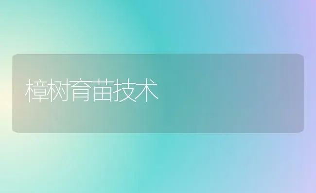 樟树育苗技术 | 养殖技术大全