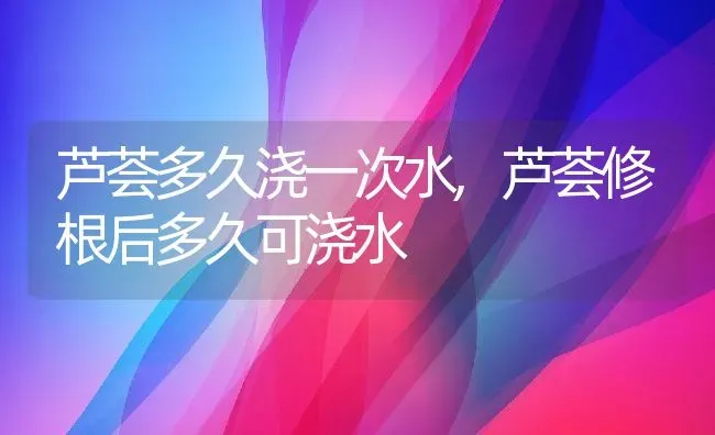 芦荟多久浇一次水,芦荟修根后多久可浇水 | 养殖学堂