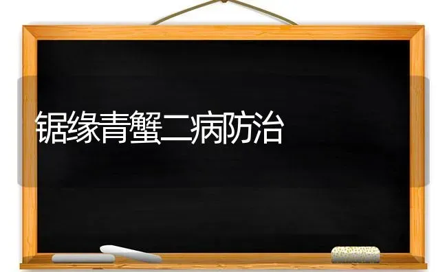 锯缘青蟹二病防治 | 养殖知识