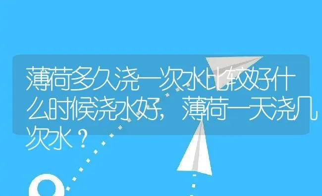 薄荷多久浇一次水比较好什么时候浇水好,薄荷一天浇几次水？ | 养殖科普