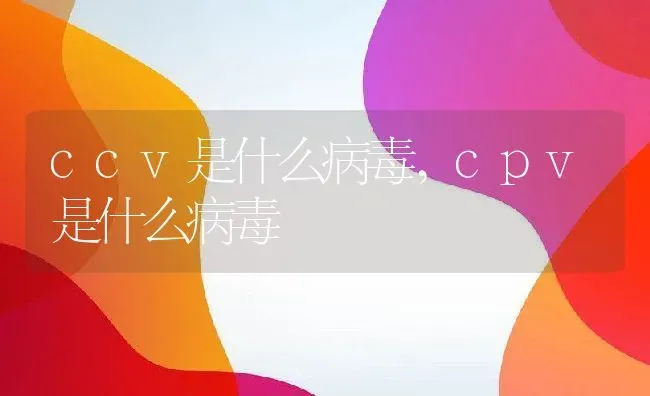 ccv是什么病毒,cpv是什么病毒 | 养殖资料