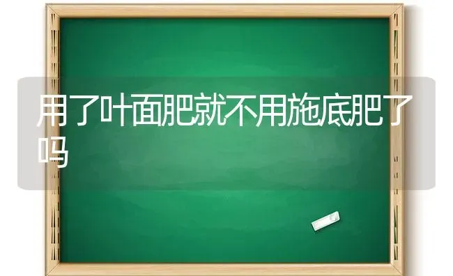 用了叶面肥就不用施底肥了吗 | 养殖技术大全