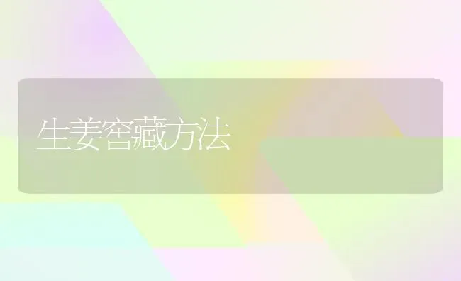 生姜窖藏方法 | 养殖技术大全