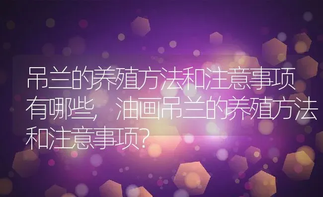 吊兰的养殖方法和注意事项有哪些,油画吊兰的养殖方法和注意事项？ | 养殖学堂