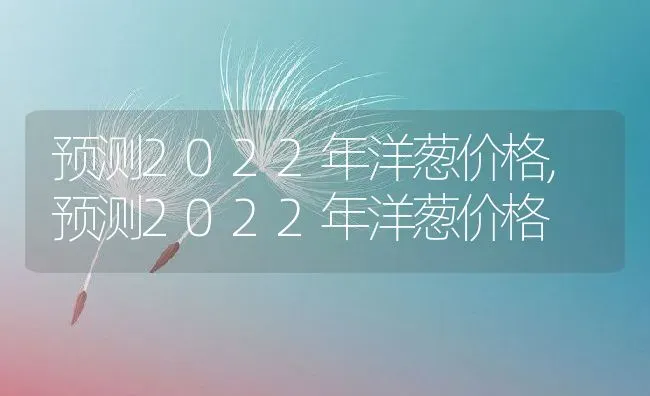 预测2022年洋葱价格,预测2022年洋葱价格 | 养殖学堂