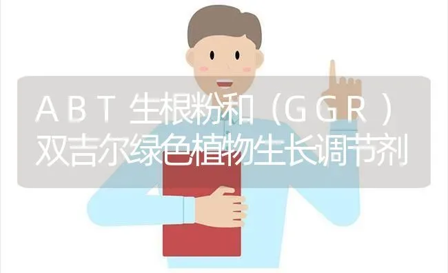 ABT生根粉和(GGR)双吉尔绿色植物生长调节剂 | 养殖技术大全