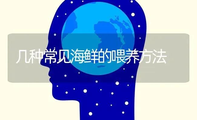 几种常见海鲜的喂养方法 | 养殖知识