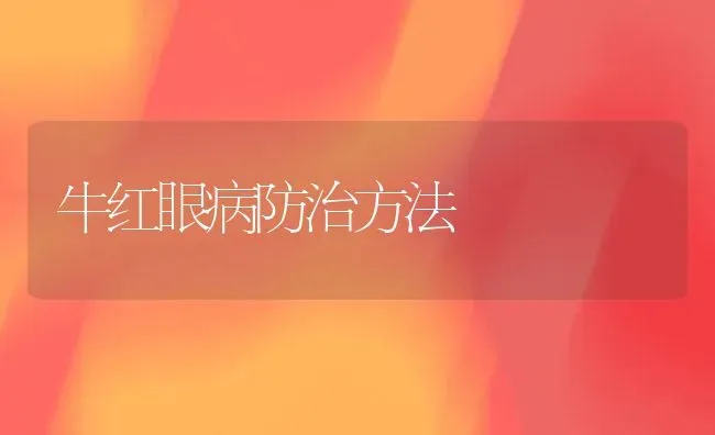 牛红眼病防治方法 | 养殖技术大全