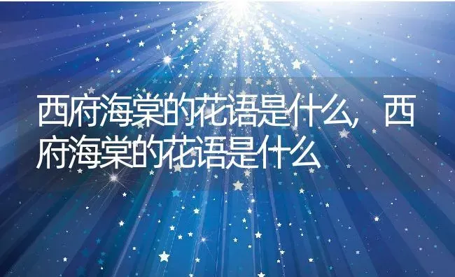 宿根福禄考与丛生福禄考区别,伏地花品种？ | 养殖科普