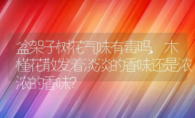 盆架子树花气味有毒吗,木槿花散发着淡淡的香味还是浓浓的香味？ | 养殖科普