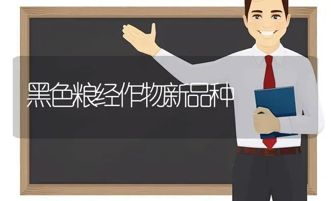 黑色粮经作物新品种 | 养殖知识