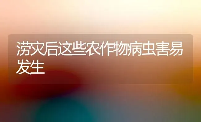 甜豌豆栽培要点 | 养殖技术大全