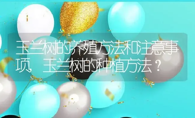玉兰树的养殖方法和注意事项,玉兰树的种植方法？ | 养殖科普