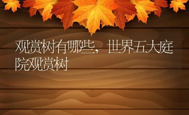 观赏树有哪些,世界五大庭院观赏树 | 养殖学堂