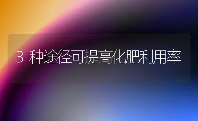 3种途径可提高化肥利用率 | 养殖技术大全
