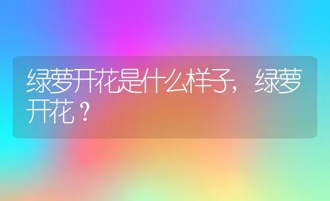 绿萝开花是什么样子,绿萝开花？ | 养殖学堂