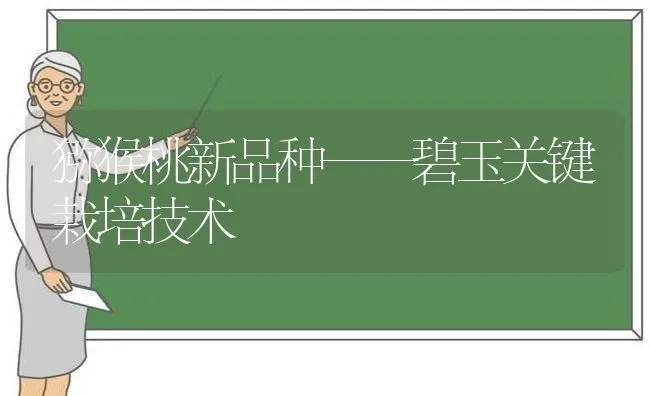 猕猴桃新品种——碧玉关键栽培技术 | 养殖技术大全