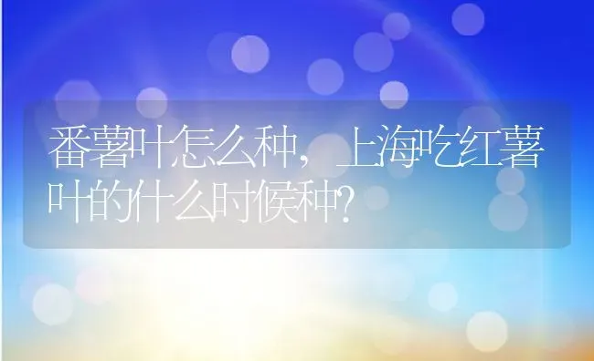番薯叶怎么种,上海吃红薯叶的什么时候种？ | 养殖科普