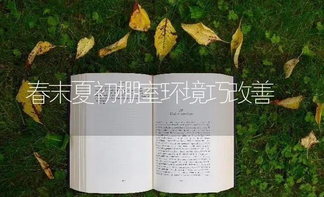 春末夏初棚室环境巧改善 | 养殖技术大全
