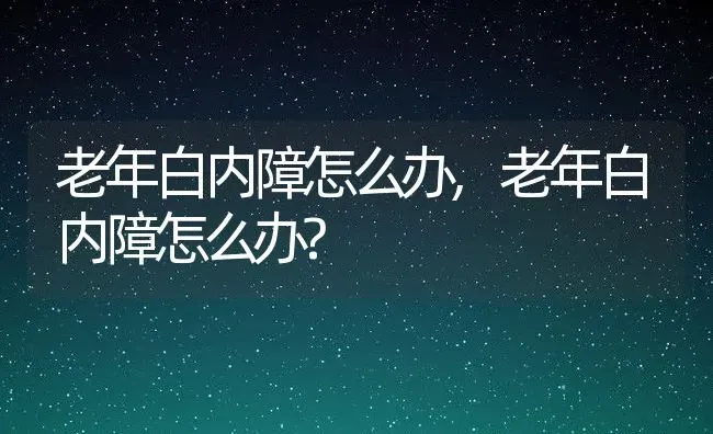 老年白内障怎么办,老年白内障怎么办? | 养殖科普