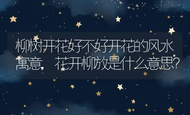 柳树开花好不好开花的风水寓意,花开柳放是什么意思？ | 养殖科普