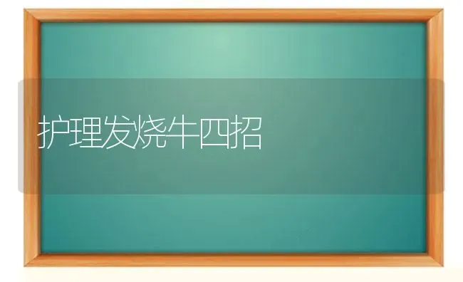 护理发烧牛四招 | 养殖技术大全