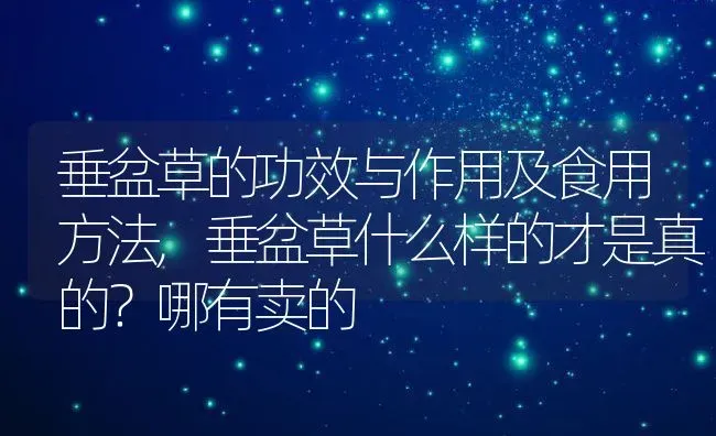 垂盆草的功效与作用及食用方法,垂盆草什么样的才是真的？哪有卖的 | 养殖学堂
