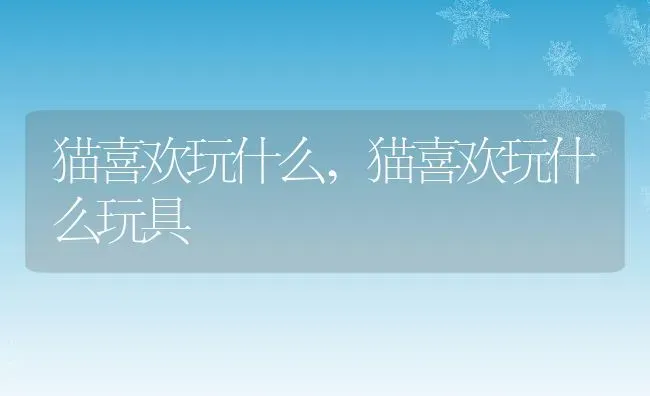小猫外形特点描写,小猫外形特点描写20字 | 养殖科普