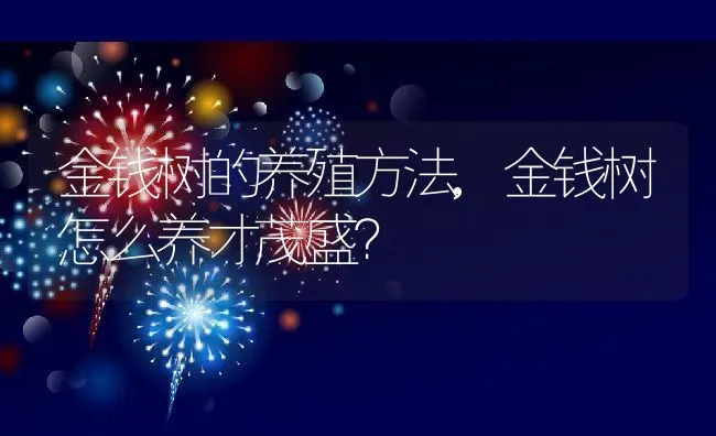 金钱树的养殖方法,金钱树怎么养才茂盛？ | 养殖科普