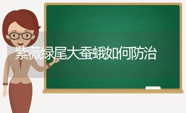 紫薇绿尾大蚕蛾如何防治 | 养殖知识