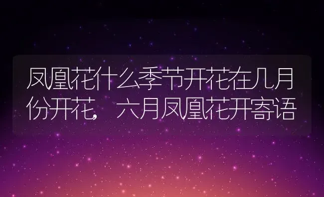 凤凰花什么季节开花在几月份开花,六月凤凰花开寄语 | 养殖学堂