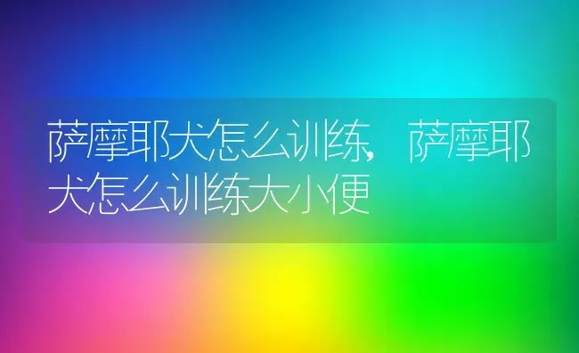 萨摩耶犬怎么训练,萨摩耶犬怎么训练大小便 | 养殖科普