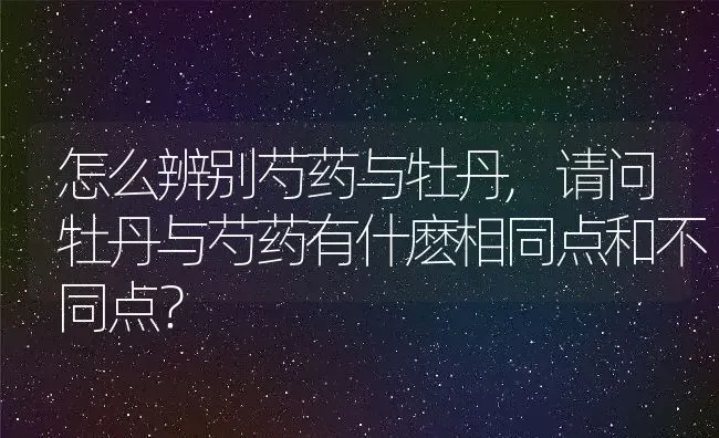 怎么辨别芍药与牡丹,请问牡丹与芍药有什麽相同点和不同点？ | 养殖科普