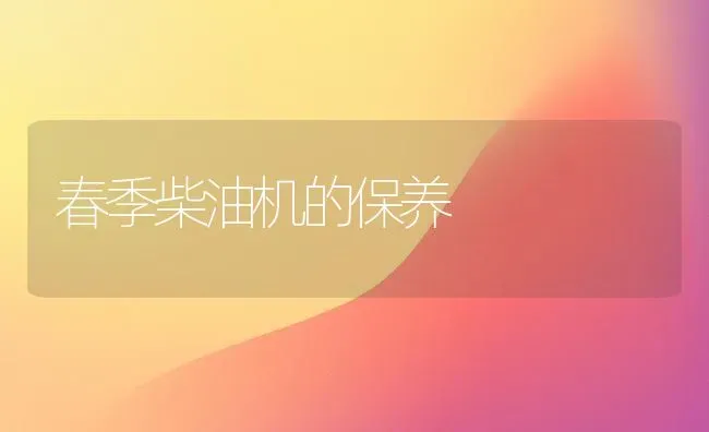 春季柴油机的保养 | 养殖知识