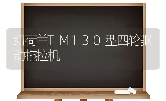 纽荷兰TM130型四轮驱动拖拉机 | 养殖技术大全