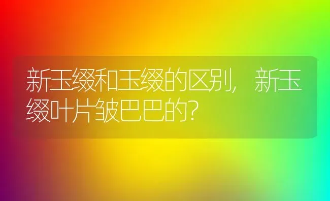 新玉缀和玉缀的区别,新玉缀叶片皱巴巴的？ | 养殖科普