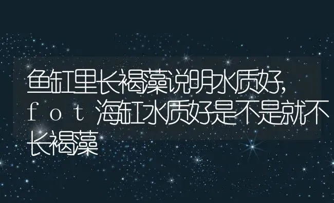 鱼缸里长褐藻说明水质好,fot海缸水质好是不是就不长褐藻 | 养殖学堂