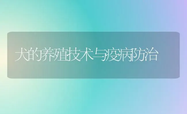 犬的养殖技术与疫病防治 | 养殖知识