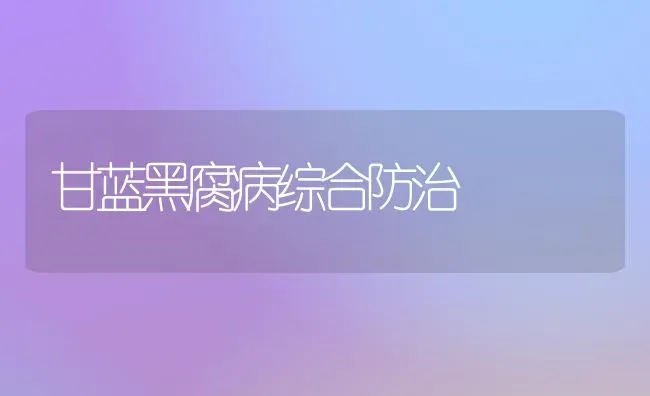 甘蓝黑腐病综合防治 | 养殖知识