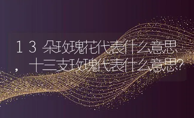 13朵玫瑰花代表什么意思,十三支玫瑰代表什么意思？ | 养殖学堂