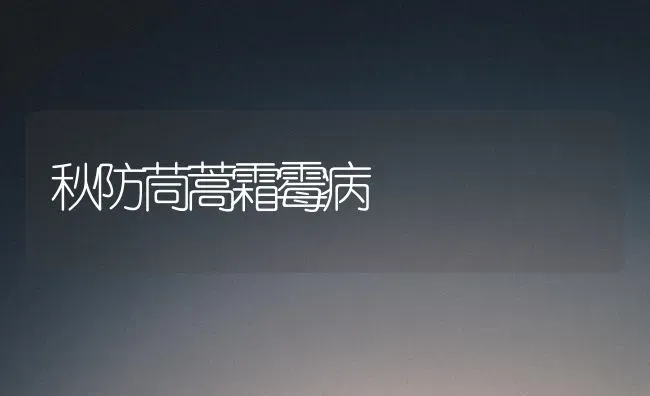 秋防茼蒿霜霉病 | 养殖知识