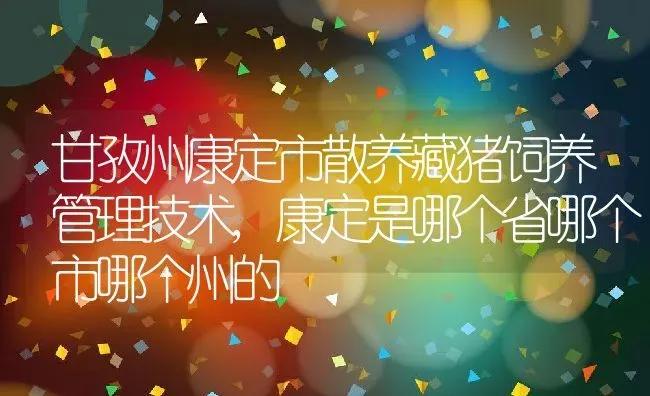 甘孜州康定市散养藏猪饲养管理技术,康定是哪个省哪个市哪个州的 | 养殖学堂