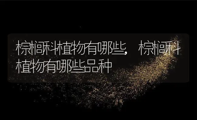 棕榈科植物有哪些,棕榈科植物有哪些品种 | 养殖科普