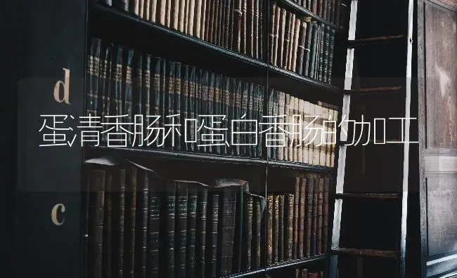 蛋清香肠和蛋白香肠的加工 | 养殖技术大全