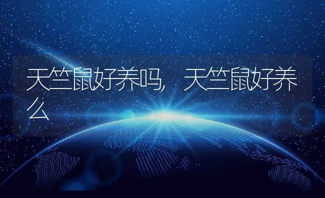 天竺鼠好养吗,天竺鼠好养么 | 养殖科普