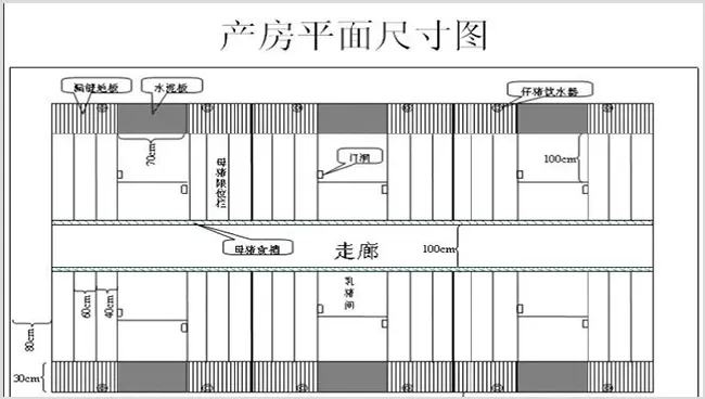 现代化养猪场设计及搭建方案 | 实用知识