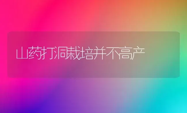 山药打洞栽培并不高产 | 养殖知识